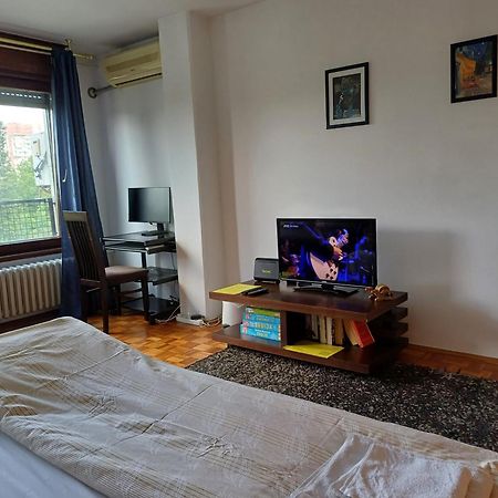 Apartment Student City, Wifi 300Mbs เบลเกรด ภายนอก รูปภาพ